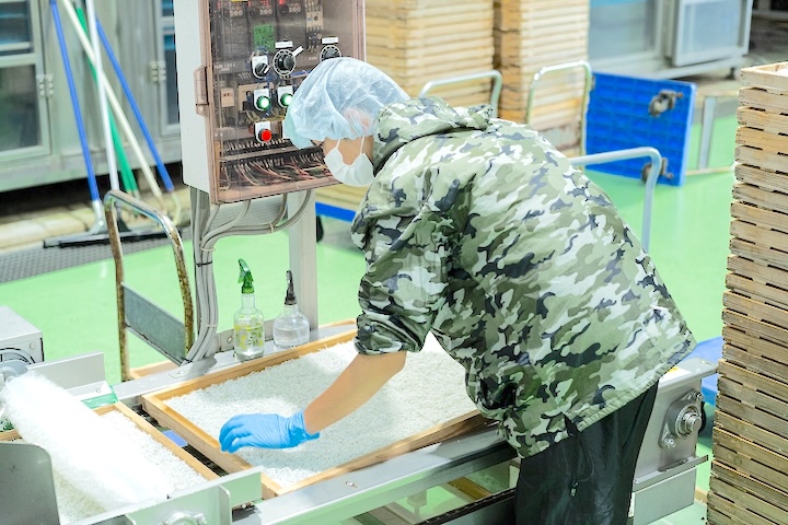 working in the Shirasu plant